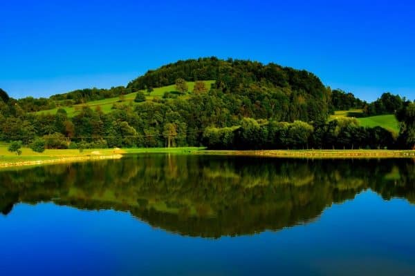 The Truth Shall Make Ye Free