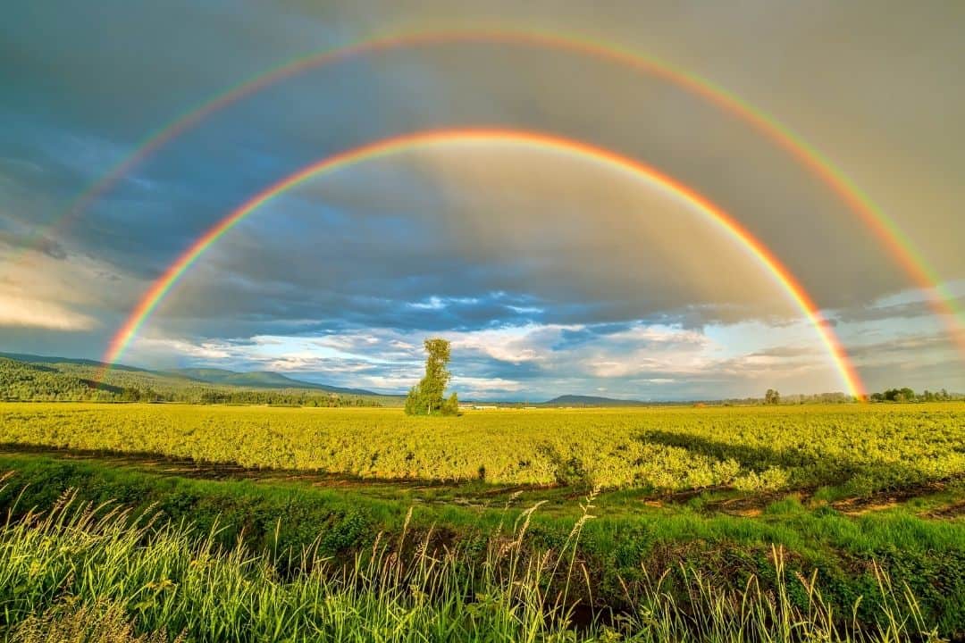 Deuteronomy 8:6 Rainbow