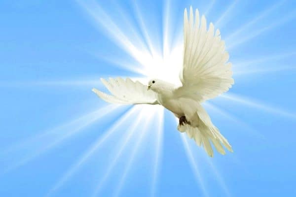 Mark 1:10-11 Dove